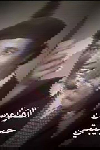 الفلوس حبيبتى