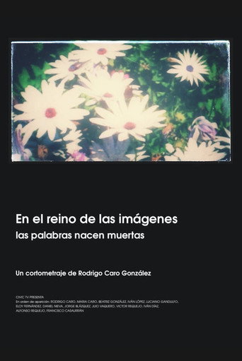 En el reino de las imágenes, las palabras nacen muertas 在线观看和下载完整电影