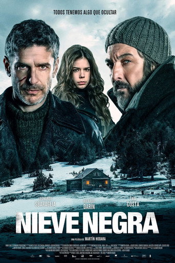 Okładka filmu Czarny Śnieg