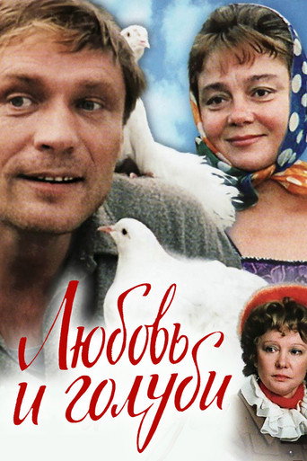Okładka filmu Miłość i gołębie