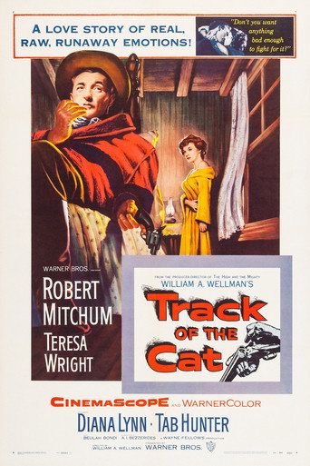 Track of the Cat 在线观看和下载完整电影