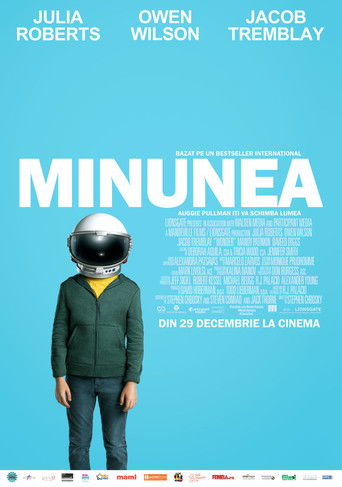Minunea film intreg in romana