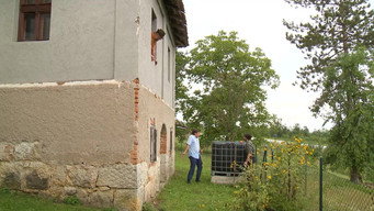 1847 Kojekude