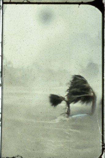 History Will Teach Us Nothing