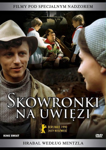 Okładka filmu Skowronki na uwięzi