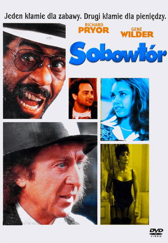 Okładka filmu Sobowtór
