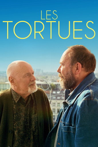 Okładka filmu Les tortues