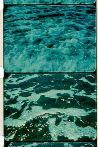 A Child’s Garden and the Serious Sea 在线观看和下载完整电影