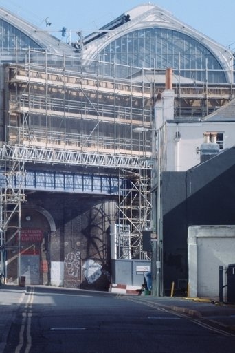 A Spring in Endless Bloom