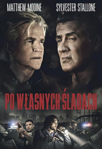 Okładka filmu Po własnych śladach
