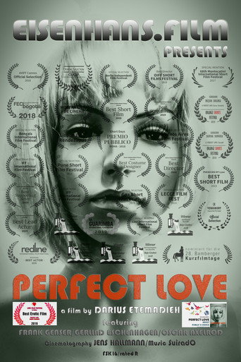 Okładka filmu Perfect Love