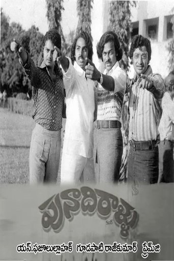 Punadhirallu