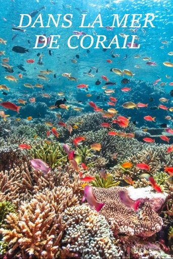 Dans la Mer de Corail