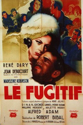Le fugitif 在线观看和下载完整电影