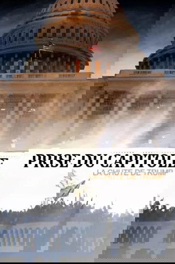 Prise du Capitole - la chute de Trump