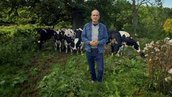 Somerset: The Concrete Cow-Shed