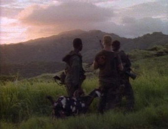 Brothers, Fathers, and Sons