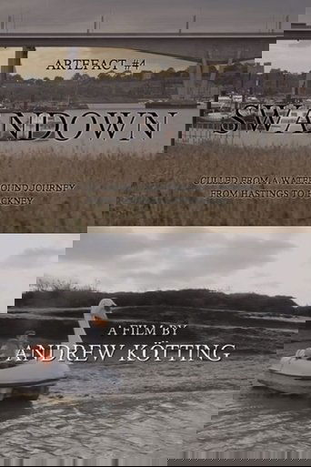 Artefact #4: Swandown – Culled from a Waterbound Journey from Hastings to Hackney