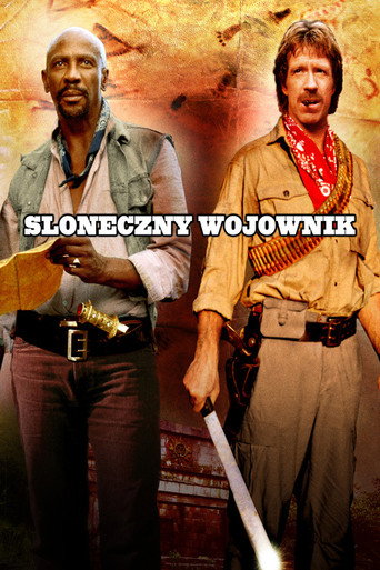 Okładka filmu Słoneczny Wojownik