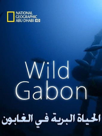 Wild Gabon