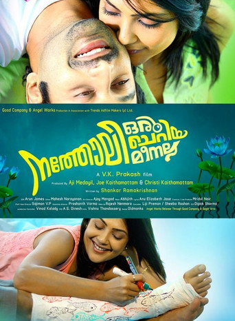 നത്തോലി ഒരു ചെറിയ മീനല്ല 在线观看和下载完整电影