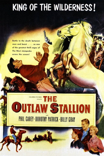 The Outlaw Stallion 在线观看和下载完整电影