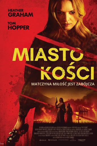Okładka filmu Miasto kości