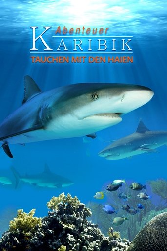 Adventure Caribbean 3D: Diving With Sharks