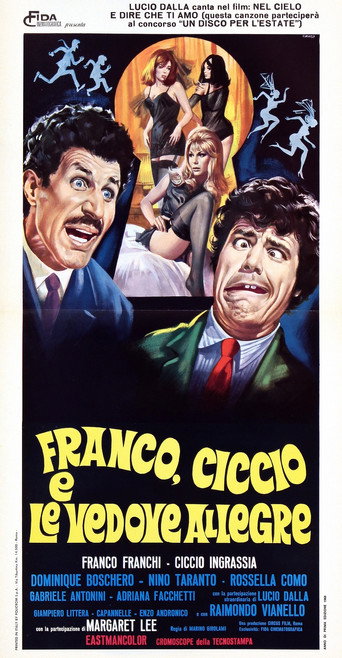 Franco, Ciccio e le vedove allegre 在线观看和下载完整电影