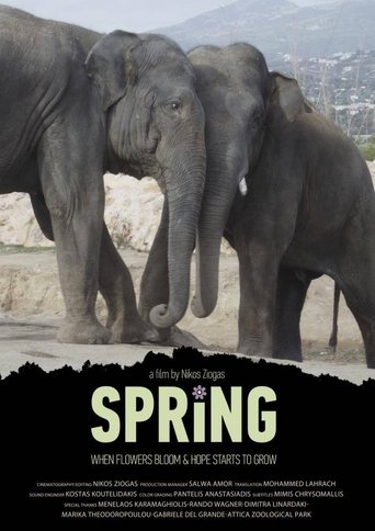 Spring