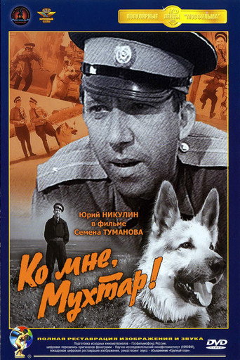 Ко мне, Мухтар! 在线观看和下载完整电影
