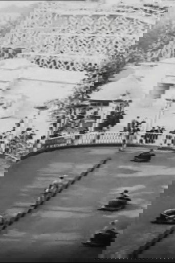 Luna Park, Paris Fairground Scenes