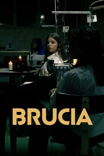 Brucia