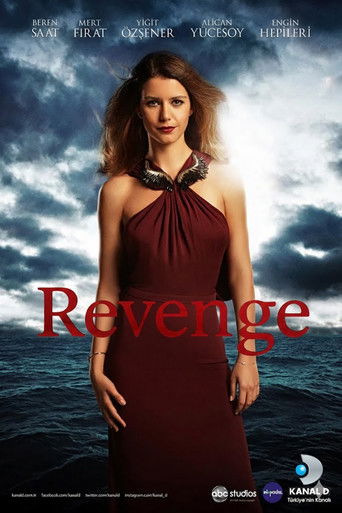 Poster of Revenge