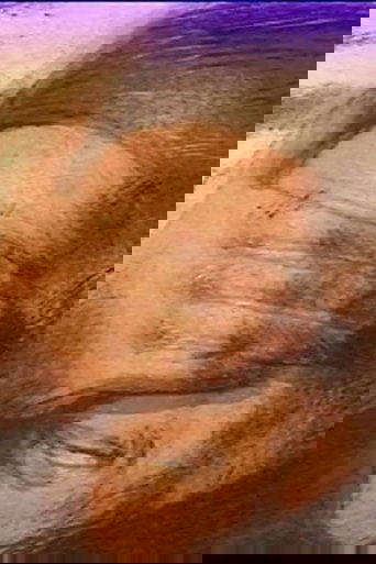 Provino per il VI Canto della Divina Commedia