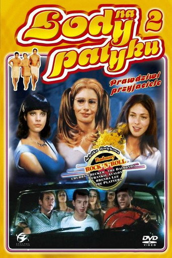 Okładka filmu Lody na patyku 2: Prawdziwi przyjaciele