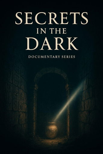 Poster of Secrets in the Dark