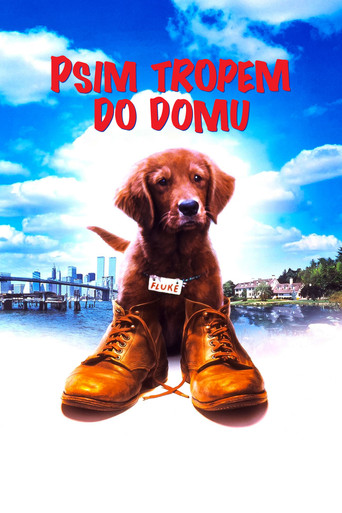Okładka filmu Psim tropem do domu