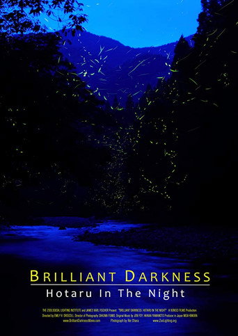 Brilliant Darkness: Hotaru in the Night 在线观看和下载完整电影