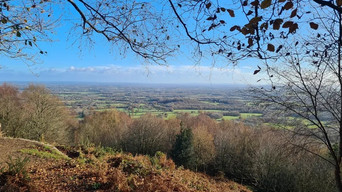 Verdley Woods