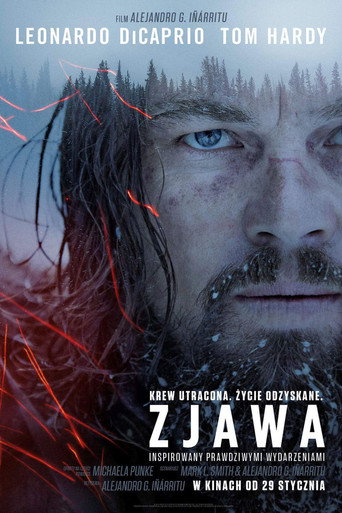 Okładka filmu Zjawa