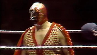Madison Square Garden: Dec. 19, 1977