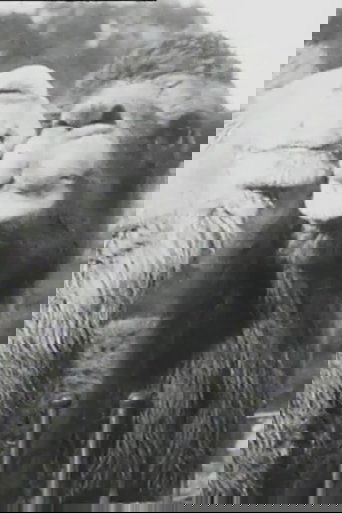 Our Advice This Festive Season