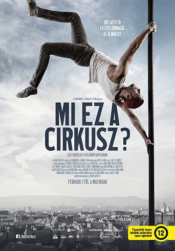 Mi ez a cirkusz? / What a Circus! 在线观看和下载完整电影