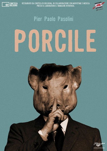 Porcile 在线观看和下载完整电影