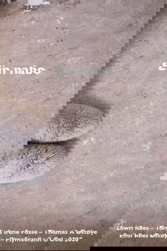 Ein nabo
