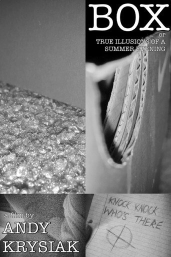 Box, or True Illusions of a Summer Evening 在线观看和下载完整电影