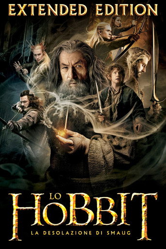 Lo Hobbit: La desolazione di Smaug