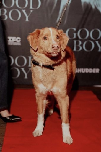 Actor Indy