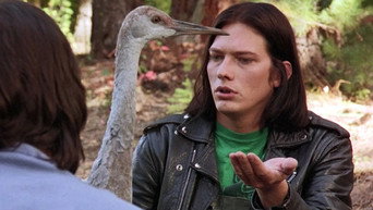 The Bad Seed episode still image